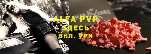 apvp Инта