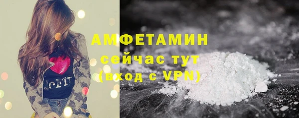 apvp Инта