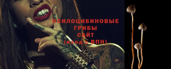 Альфа ПВП Инсар