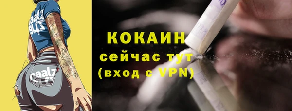 apvp Инта