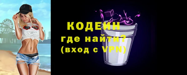 apvp Инта
