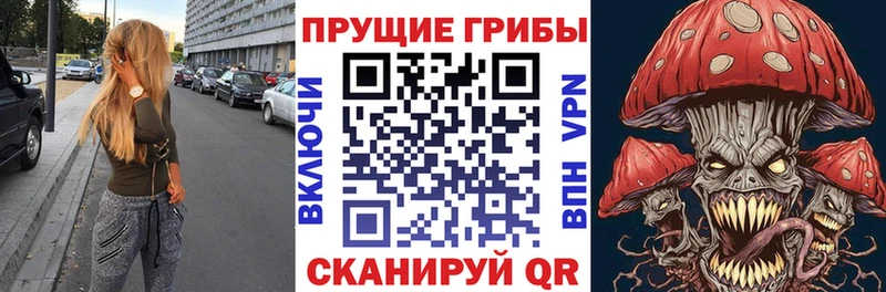 Купить закладки  Гаврилов-Ям  Галлюциногенные грибы Cubensis 